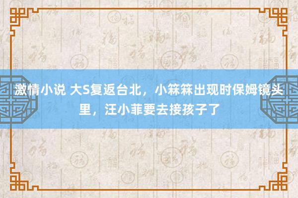 激情小说 大S复返台北，小箖箖出现时保姆镜头里，汪小菲要去接孩子了