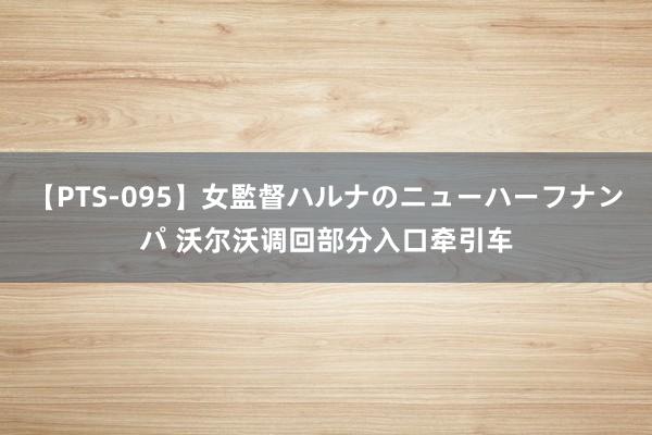 【PTS-095】女監督ハルナのニューハーフナンパ 沃尔沃调回部分入口牵引车