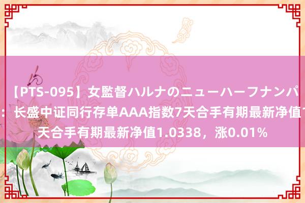 【PTS-095】女監督ハルナのニューハーフナンパ 8月16日基金净值：长盛中证同行存单AAA指数7天合手有期最新净值1.0338，涨0.01%