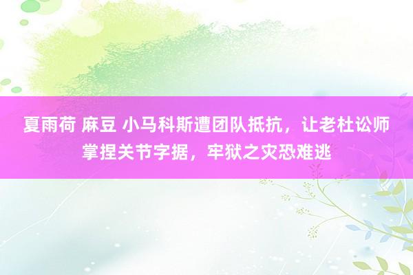 夏雨荷 麻豆 小马科斯遭团队抵抗，让老杜讼师掌捏关节字据，牢狱之灾恐难逃