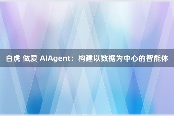 白虎 做爱 AIAgent：构建以数据为中心的智能体