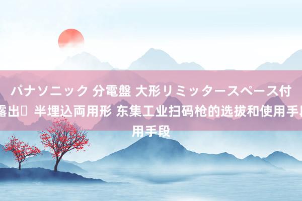 パナソニック 分電盤 大形リミッタースペース付 露出・半埋込両用形 东集工业扫码枪的选拔和使用手段