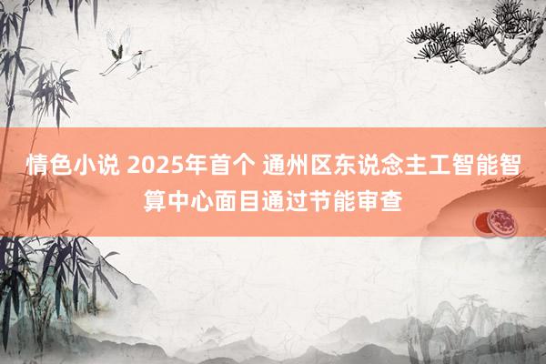 情色小说 2025年首个 通州区东说念主工智能智算中心面目通过节能审查