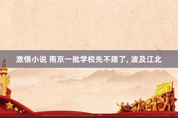 激情小说 南京一批学校先不建了， 波及江北