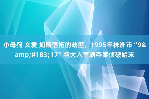 小母狗 文爱 如斯落拓的劫匪，1995年株洲市“9&#183;17”特大入室剥夺案侦破始末
